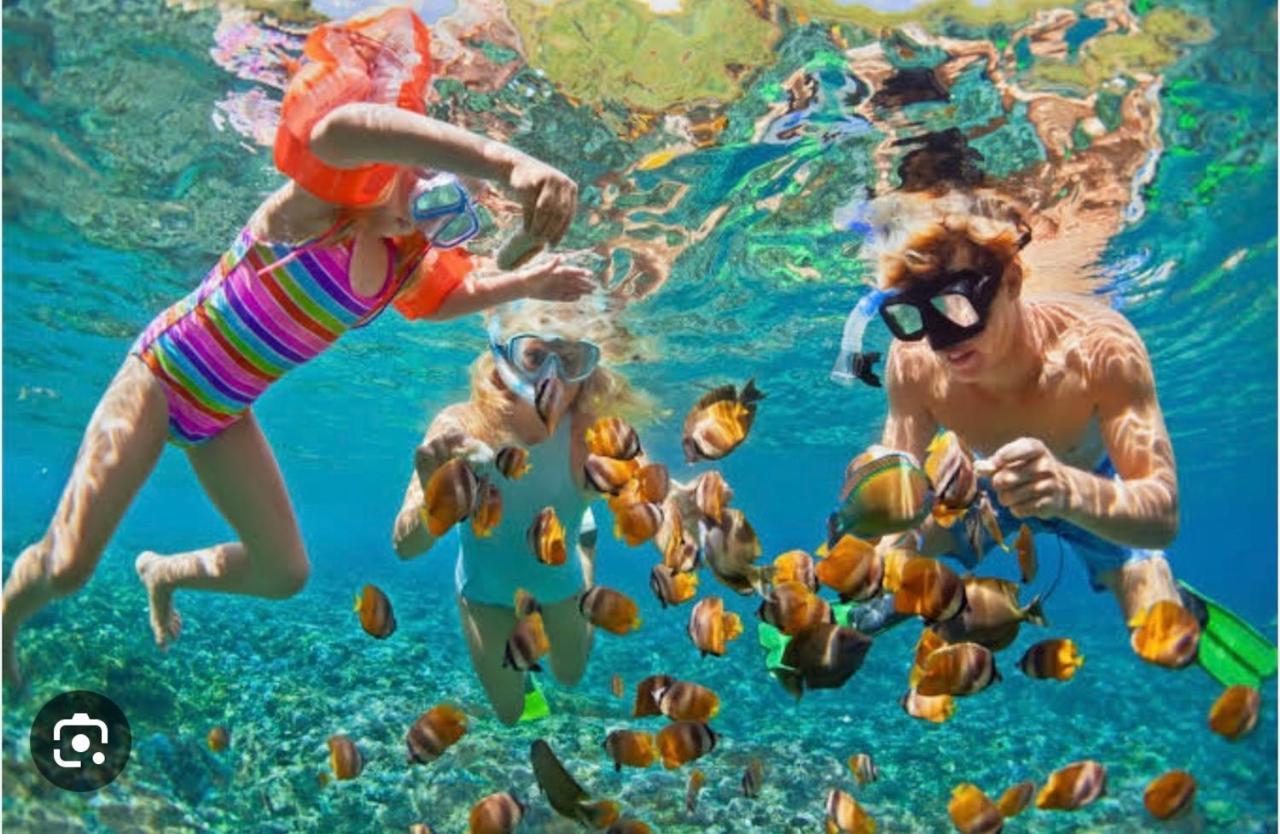 Casa Marene Διαμέρισμα Puerto Morelos Εξωτερικό φωτογραφία