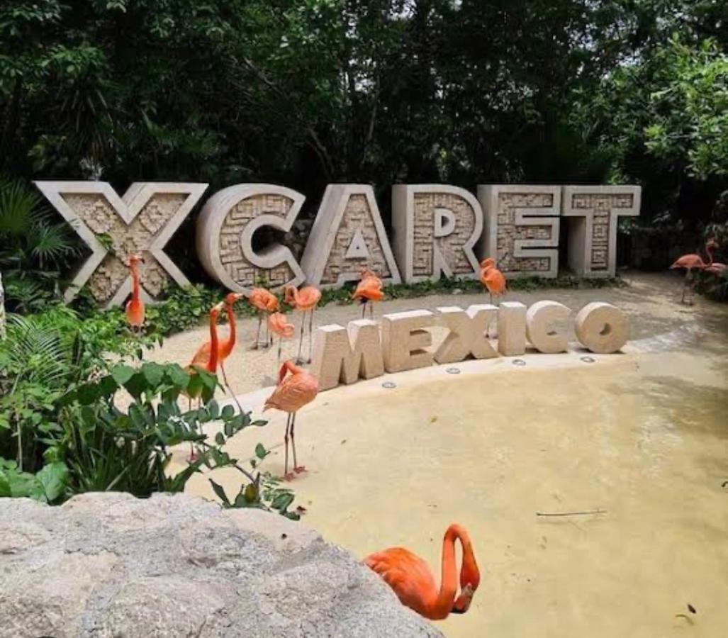 Casa Marene Διαμέρισμα Puerto Morelos Εξωτερικό φωτογραφία